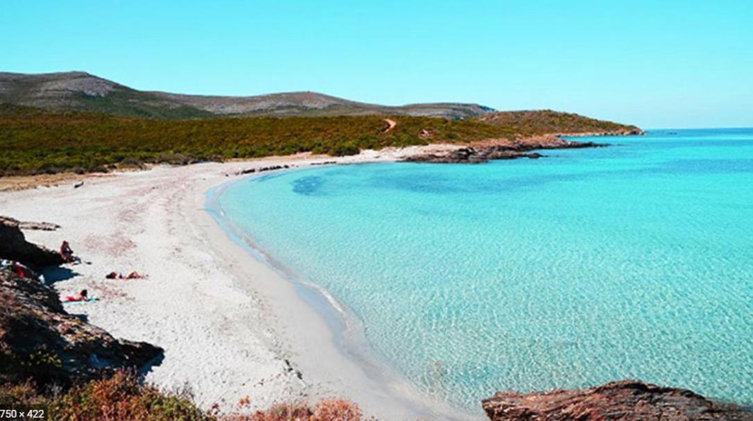 Coin De Paradis Vue Dominante Sur Mer, Montagne Et Tour Genoise Avec Jacuzzi Pino Bagian luar foto