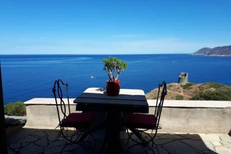 Coin De Paradis Vue Dominante Sur Mer, Montagne Et Tour Genoise Avec Jacuzzi Pino Bagian luar foto