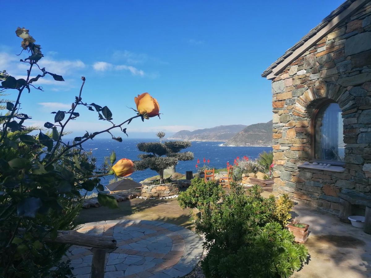 Coin De Paradis Vue Dominante Sur Mer, Montagne Et Tour Genoise Avec Jacuzzi Pino Bagian luar foto