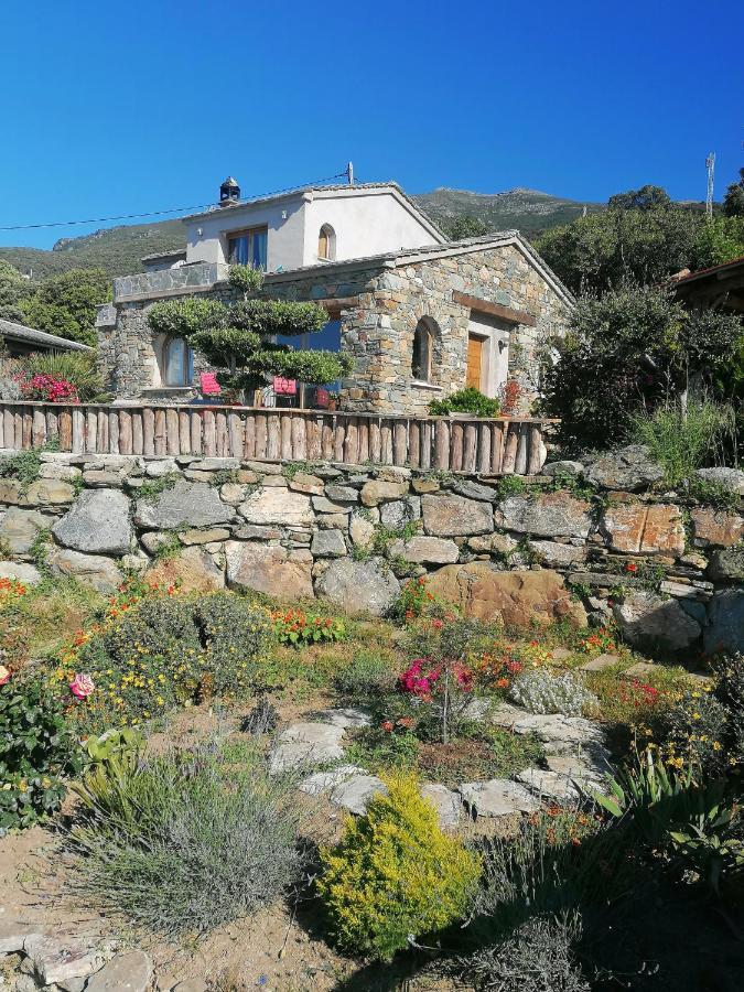 Coin De Paradis Vue Dominante Sur Mer, Montagne Et Tour Genoise Avec Jacuzzi Pino Bagian luar foto