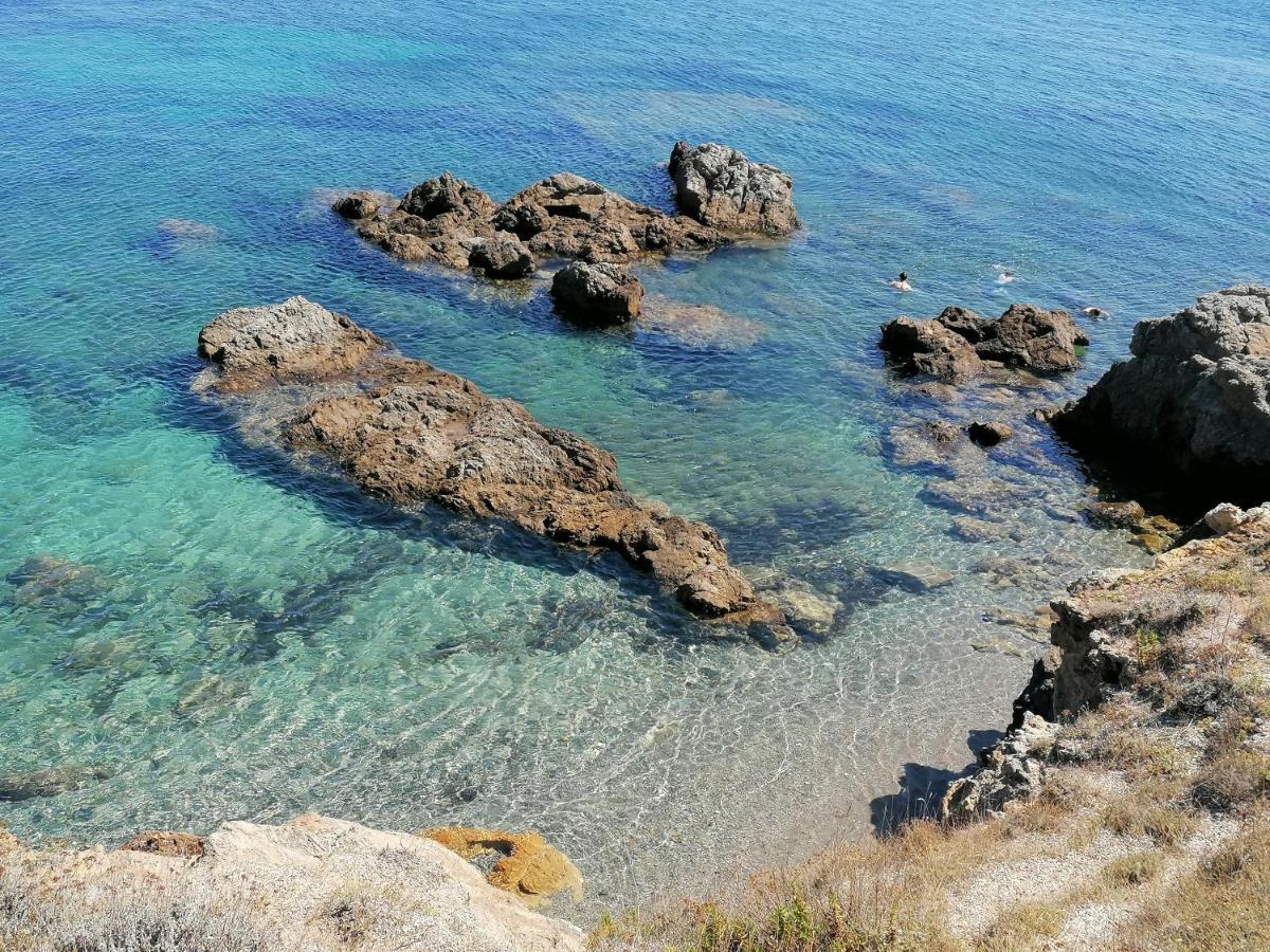 Coin De Paradis Vue Dominante Sur Mer, Montagne Et Tour Genoise Avec Jacuzzi Pino Bagian luar foto