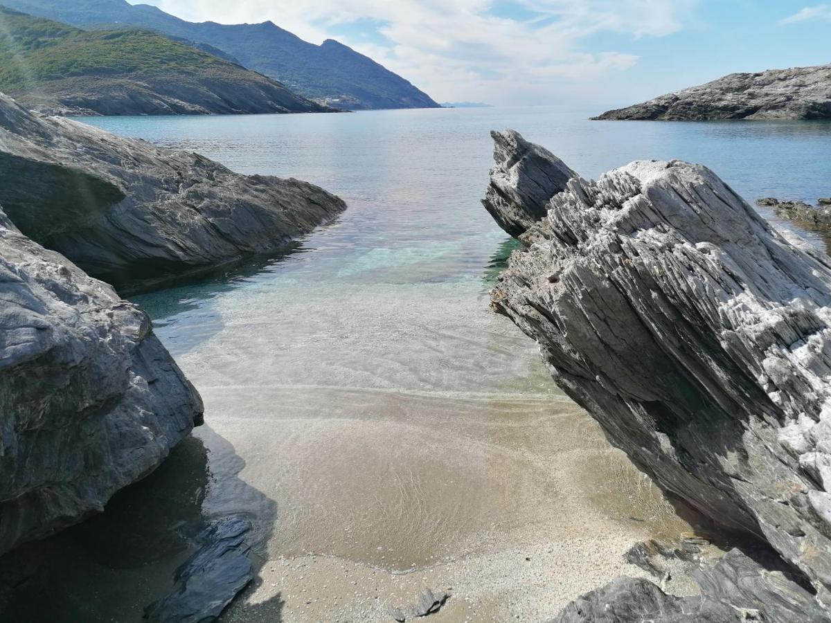 Coin De Paradis Vue Dominante Sur Mer, Montagne Et Tour Genoise Avec Jacuzzi Pino Bagian luar foto