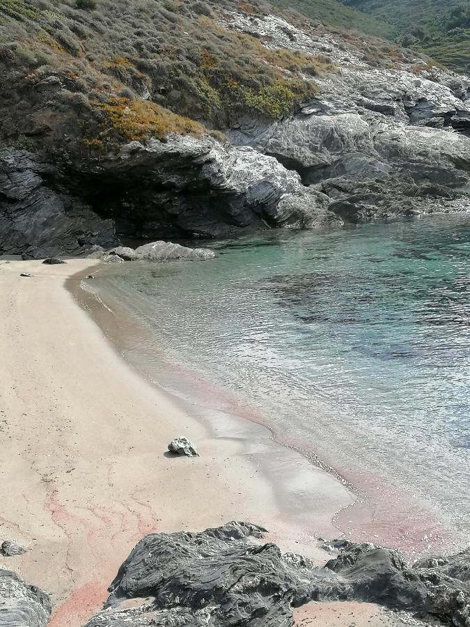 Coin De Paradis Vue Dominante Sur Mer, Montagne Et Tour Genoise Avec Jacuzzi Pino Bagian luar foto
