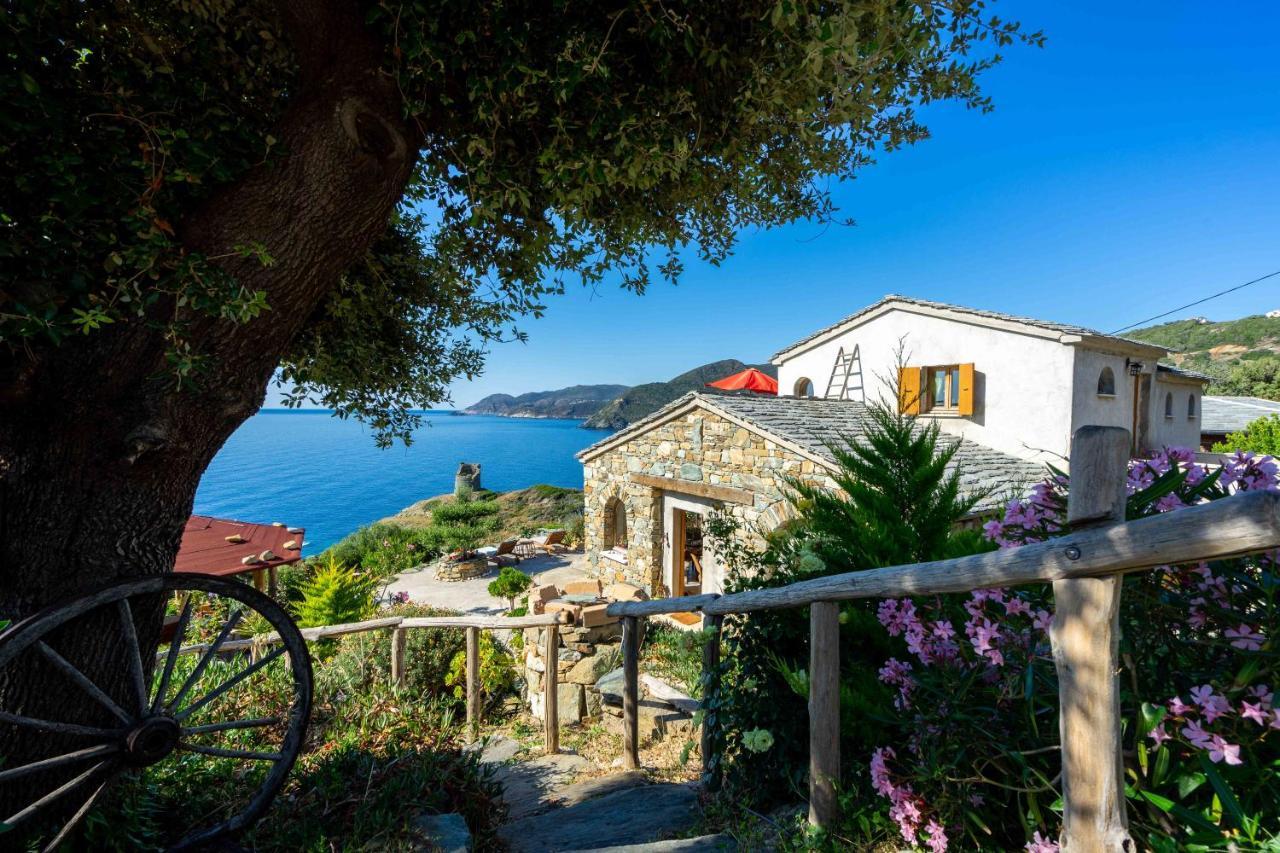 Coin De Paradis Vue Dominante Sur Mer, Montagne Et Tour Genoise Avec Jacuzzi Pino Bagian luar foto