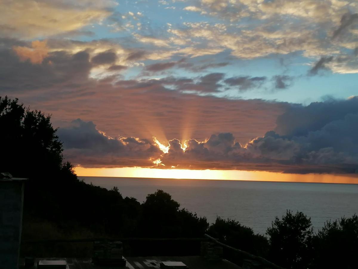 Coin De Paradis Vue Dominante Sur Mer, Montagne Et Tour Genoise Avec Jacuzzi Pino Bagian luar foto