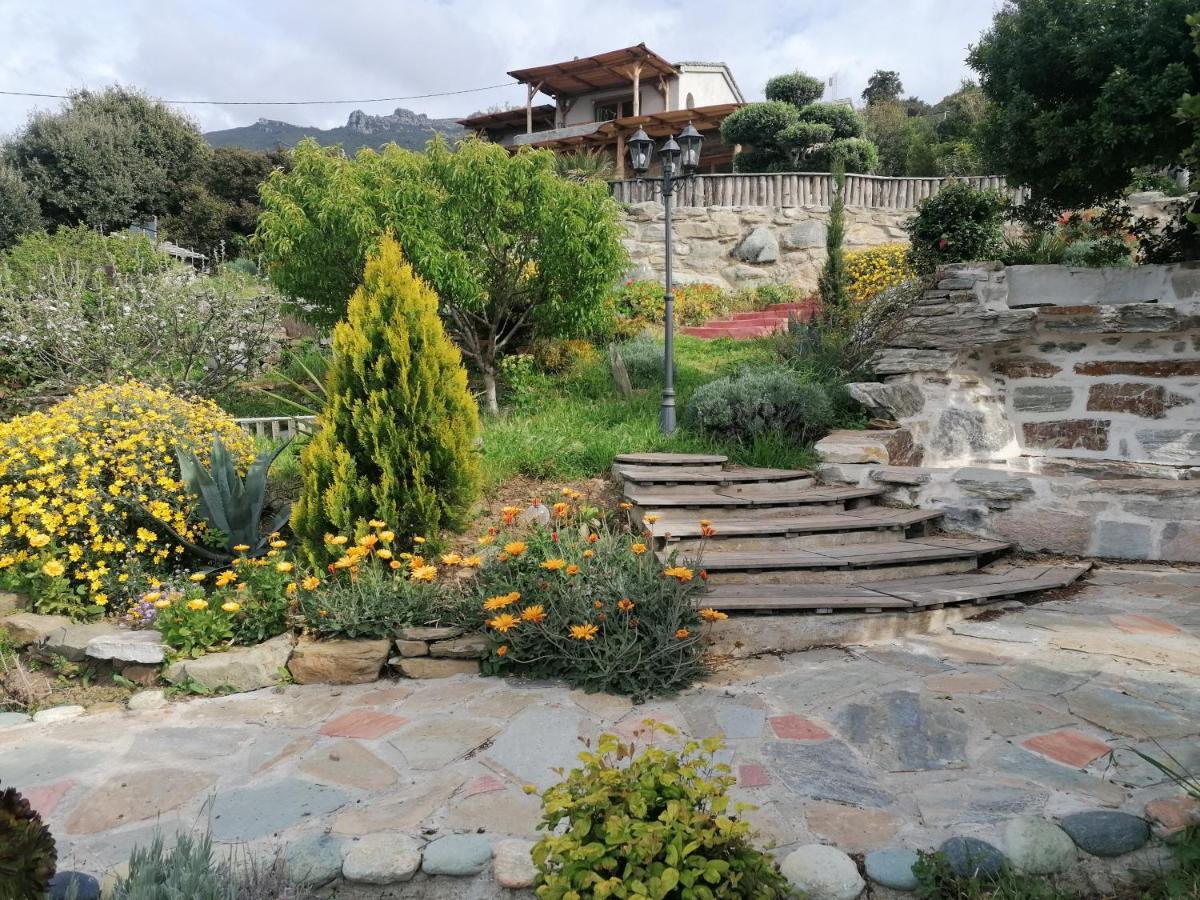 Coin De Paradis Vue Dominante Sur Mer, Montagne Et Tour Genoise Avec Jacuzzi Pino Bagian luar foto